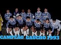 Campeo gacho 1993