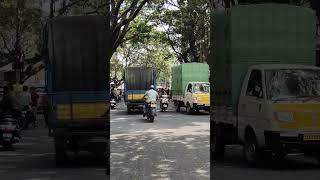 Green City Bangalore , BTM stage 2 #lifeisbutadream #travel #ihavethisthingwithplants