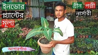 Indoor Plants Price In Green Polli Nursery | ইনডোর প্ল্যান্টের মূল্য | Gardening Bangladesh