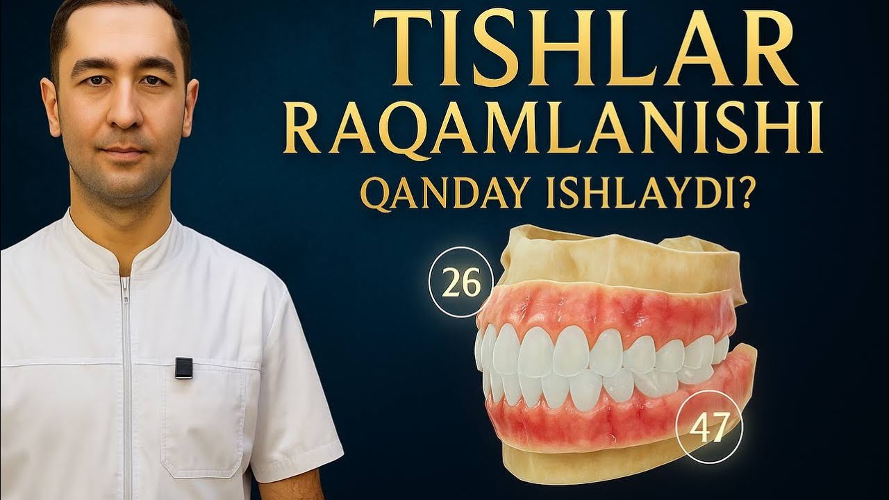 Tishlar qanday raqamlanadi ? Sizda 26-raqamli tish og‘riyapti deyishsa — u qayerda? Nega shunday?