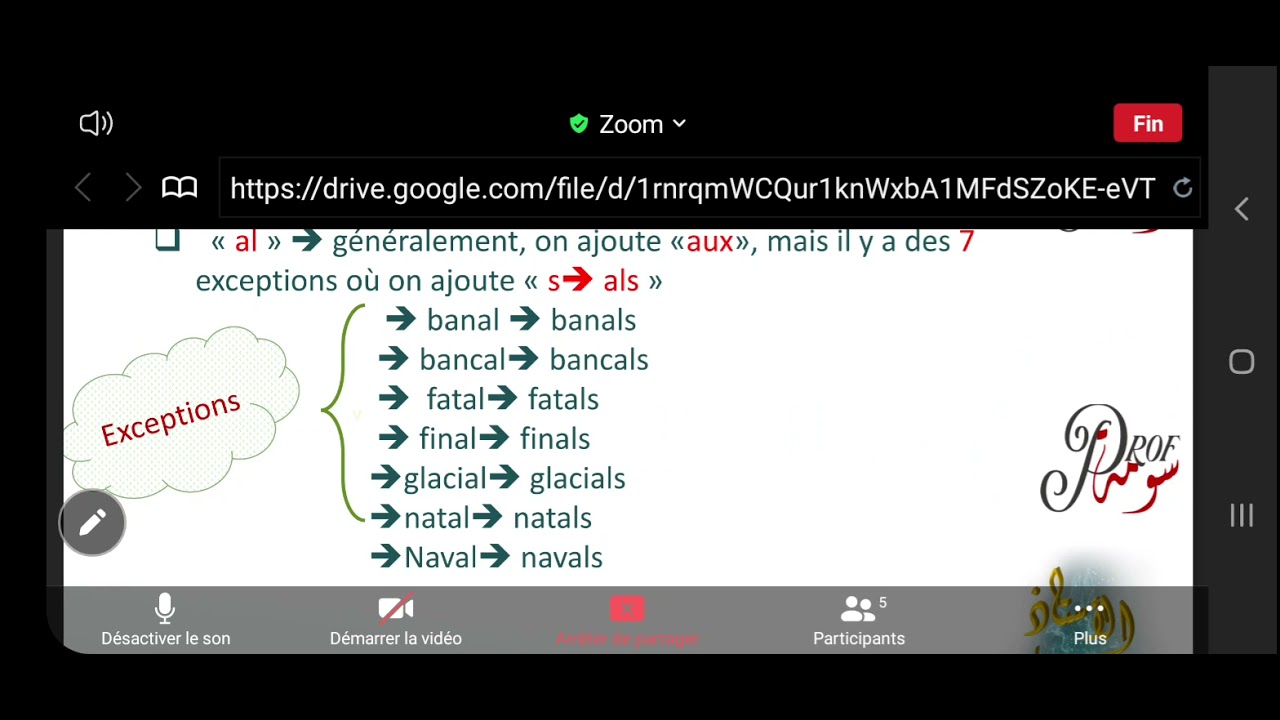 le pluriel féminin des adjectifs,cours et exercices