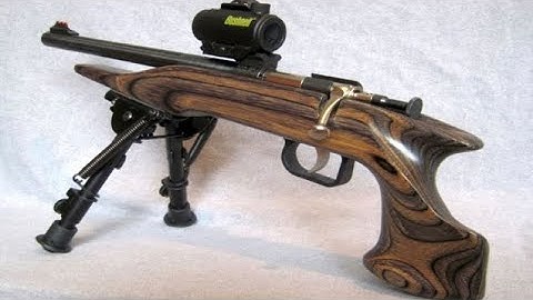 Cover Image for The Keystone Chipmunk Pistol