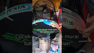 Sangkar murai batu murah kwalitas mewah.Cek out di kranjang bawah bosku !!