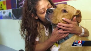 'It's like a therapy': Seminole County inmates train shelter dogs in new program