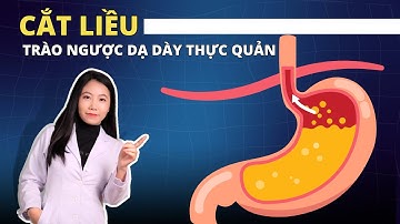 Phác Đồ Điều Trị Trào Ngược Dạ Dày: Hiệu Quả & An Toàn - Ds. Hằng Eduphar