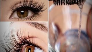 رموش وحواجب كثيفة ?بمكونات طبيعية #beauty #natural #asmr #جمال #حواجب#رموش#طبيعي#وصفات