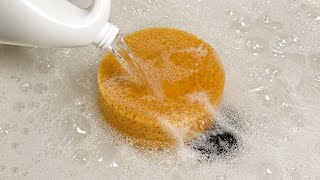 Sudsy Janola Squeezing | Sponge ASMR 🤍