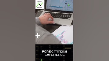 Renkoexpert forex robot.