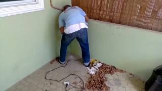 APEX 2000 Pest Control