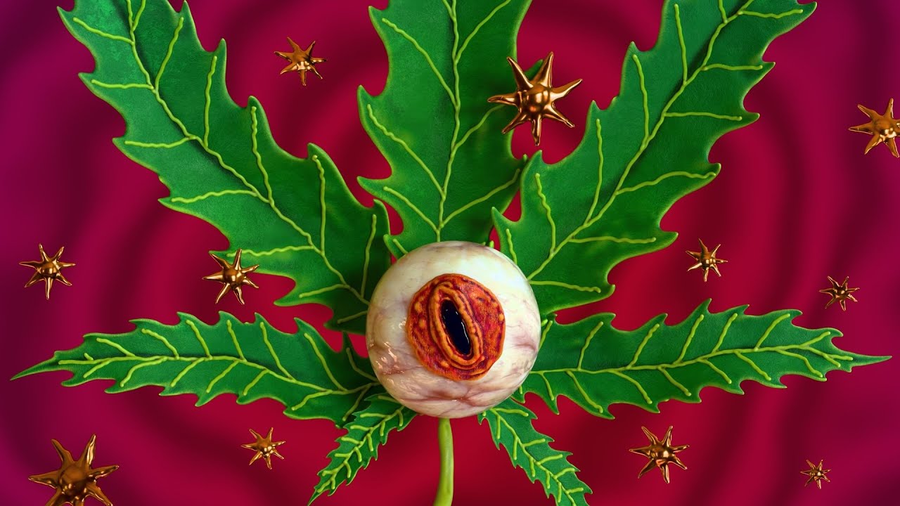 CYCLOPS - BLUNT SONG