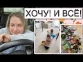 ХОЧУ! И ВСЕ!❗️/ЗАКУПКА ПРОДУКТОВ НА НЕДЕЛЮ🛒/УБОРКА/КАК ВОВА СХОДИЛ К ВРАЧУ💉/ВАНИНА МЕЧТА