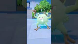 Shiny Mankey Evolving #pokemon #scarlet #violet #shiny #mankey #primeape Shiny Mankey Evolving #pokemon #scarlet #violet #shiny #mankey #primeape