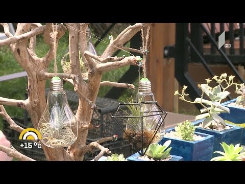 ბოტანიკურ ბაღში მწვანე გამოფენა-გაყიდვა green expo-2019 გაიმართა