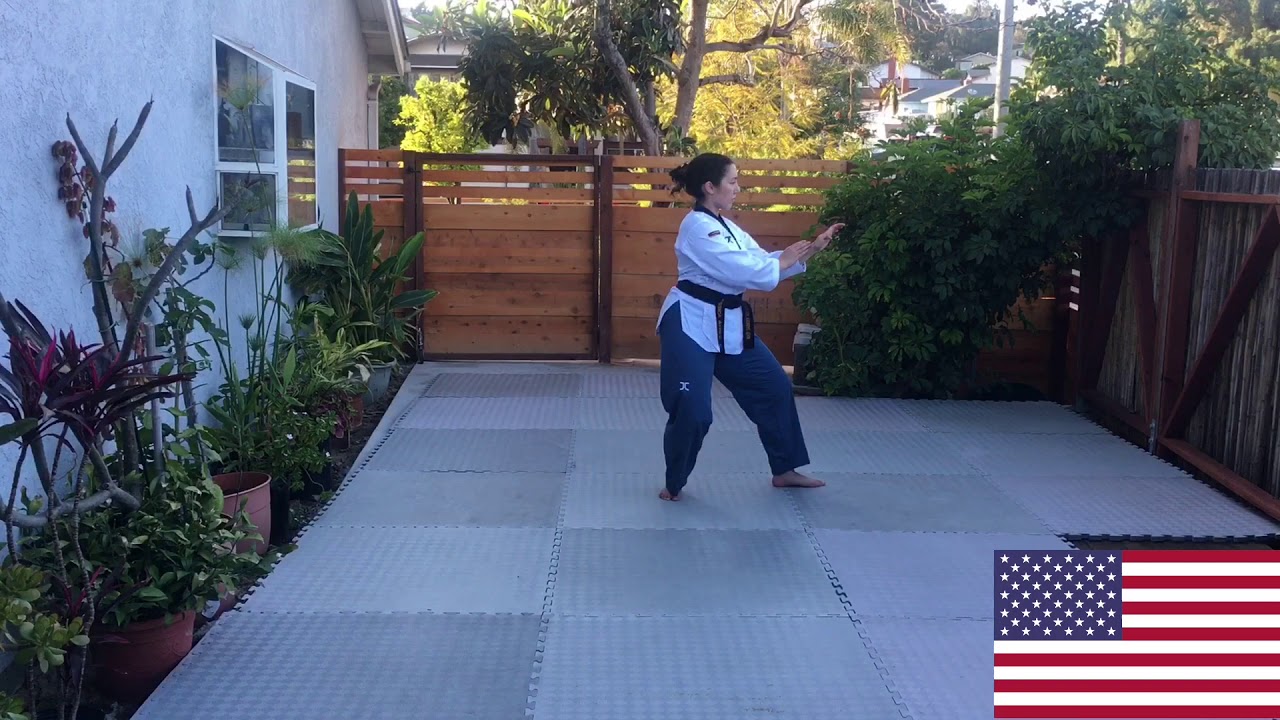 Final (T6,Sipjin) 1st Online Daedo Open European Championships