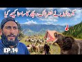  crossing dangerous bear jungle  travelling with bakarwal nomads in kashmir episode 14