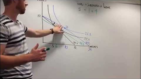 Explanation of Income and Substitution Effects