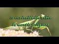 **12 curiosidades sobre la mantis religiosa**