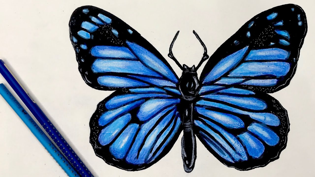 Easy Drawing Ideas Butterfly