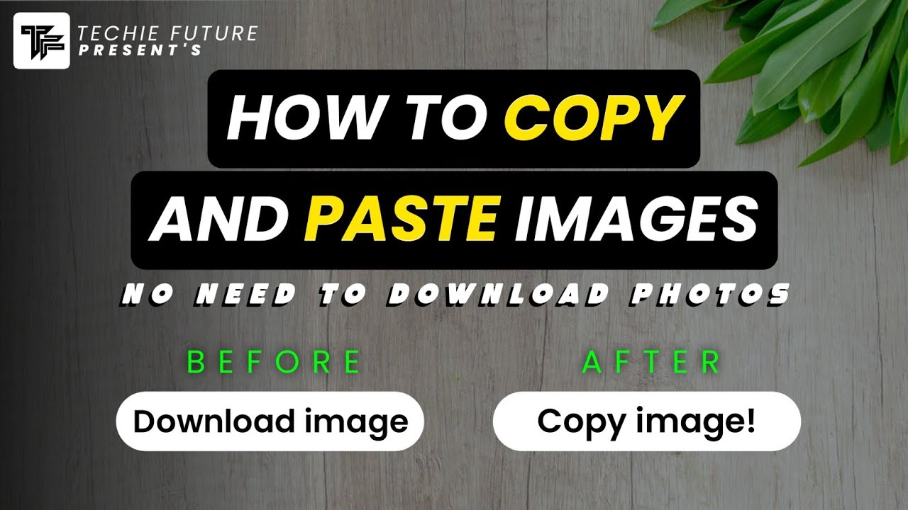 No Need To Download Images Just Copy And Paste Images How To Copy No Need To Download Images Just Copy And Paste Images How To Copy