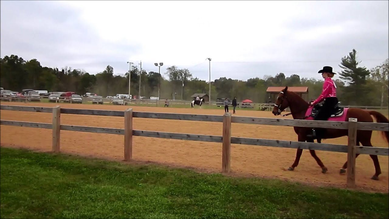 Jackson County WV Horse Show - YouTube