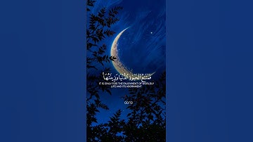 تلاوة طيبة و هادئة للشيخ ياسر الدوسري 😴🎧 #ياسر_الدوسري #ياسر #yaser_eldosary #القرآن_الكريم #القرآن