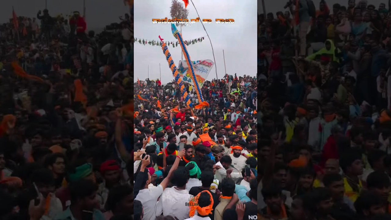 Rnr Raj RNR ka raj 227.#jalikattu #jallikattu #227 - YouTube