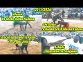 21/1/26 Takare Alasan Ya Sheke Autan Kudawa, Grk Dutse Ya Hallaka Grk Bhg Musan Kaduna, Adamben Ktn.