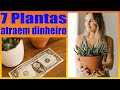 SAIBA O SEGREDO DAS 7 PLANTAS QUE ATRAEM PROSPERIDADE E DINHEIRO