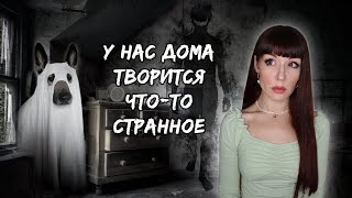 Паранормальная активность у нас в квартире... Способы проверить дом на наличие негативной энергии