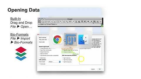 ImageJ/Fiji - How to Open Data