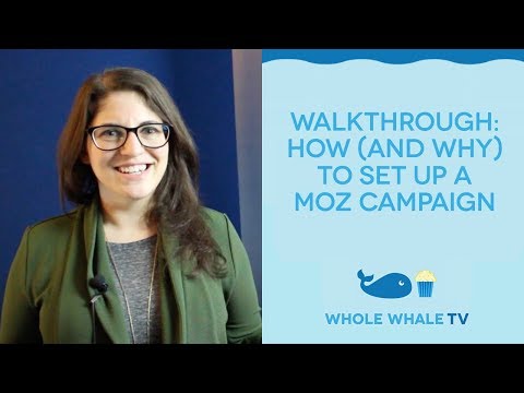 Walkthrough: How (and why) to set up a Moz campaign