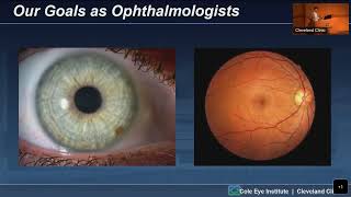 Organspecific issues in vasculitis