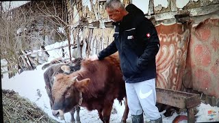 Download Lagu ''Kad snijeg padne, selo pokaže dušu - VARDA'' MP3