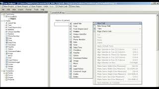 Creating Data Entry Forms Questionnaires in Epi Info 7