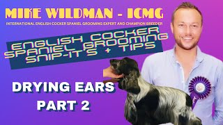 ENGLISH COCKER SPANIEL DAILY SNIPIT GROOMING MASTERCLASS with MIKE WILDMAN  Drying Ears Part 2