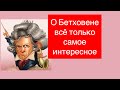 Лекция №2 Бетховен. Интересные факты. Жизнь и творчество великого композитора.