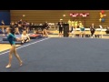 Ashley fries floor rgw