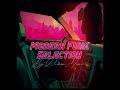 Modern funk selection vol2