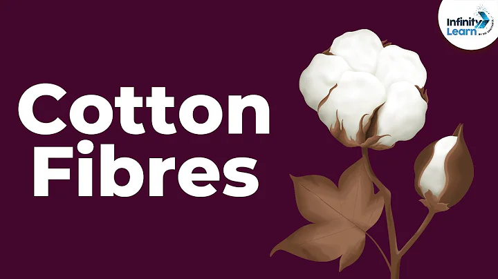 Cotton Fibres | Fibre to Fabrics | Don't Memorise