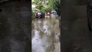 Tamil Nadu Facing Michaung Cyclone Chaos ? michaung tamilnadu chennai T-Nagar cyclone viral