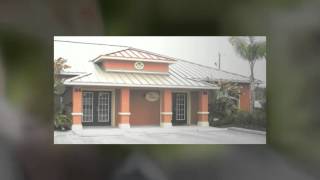 Auto Accident Pain Relief Land O Lakes Fl - Craven Chiropr