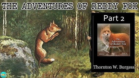 The Adventures of Reddy Fox - Videobook | P2 🎧 Audiobook with Scrolling Text 📖
