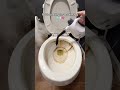 seen it to someone that should have this 🤩🥰 #steamcleaning
