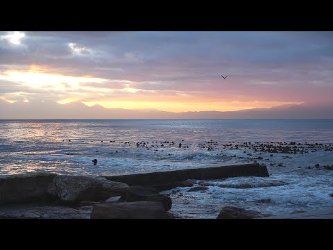 Embedded Video