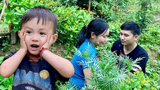 Love and responsibility for baby Bon  Pao prepares to help Huong repair the small garden