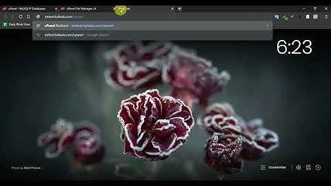 sales erp server installation