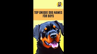The Top unique dog names for Boys😍 by DogLove 24 570 views 1 year ago 1 minute, 58 seconds
