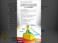 Congenital neuromuscular disorders and anesthetic implications