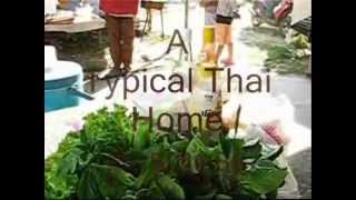 Thai Food - Home Business Thai Food - Home Business