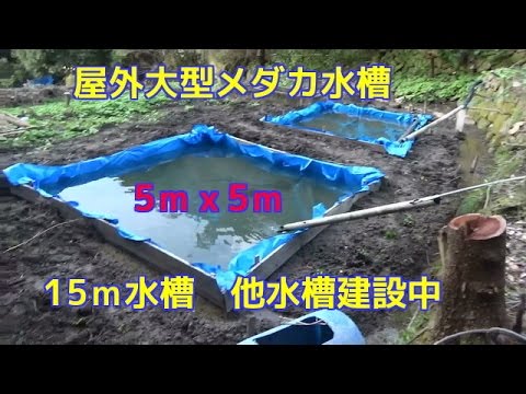 知人が野外大型メダカ水槽を建設中 見学に行ってきました15ｍ水槽山水利用 Youtube